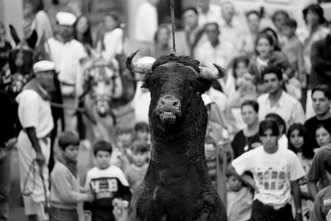 Madrid,10,09,1996. Toros en Arganda.Foto:Crist&oacute;bal Manuel.