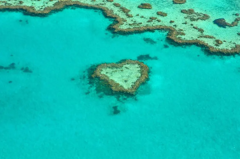 Detalle de las aguas turquesas del archipiélago Tiwi.