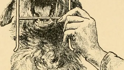 Ilustraci&oacute;n del libro Dolencias del perro y su tratamiento. 1911